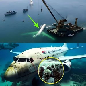 Lost No More? MH370’s Final Moments Have Been Found