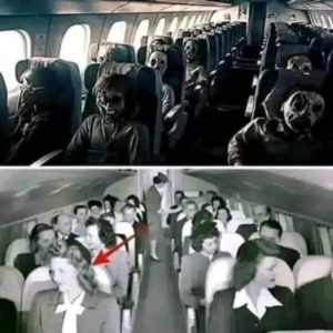 Mystery in the Skies: The Plane Lost in 1984 Reappears in 2019 with 92 Skeletons Onboard