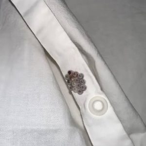 I found these tiny balls in my bed and nearly had a heart att.ack: here’s what they were