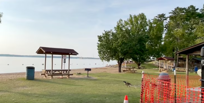 20 people injured in lightning strike while swimming at South Carolina beach