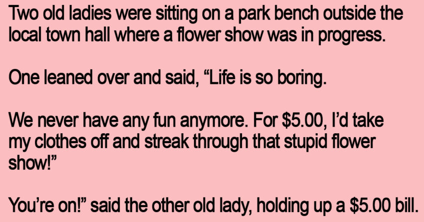 Two Old Ladies Were Sitting On A Park Bench.