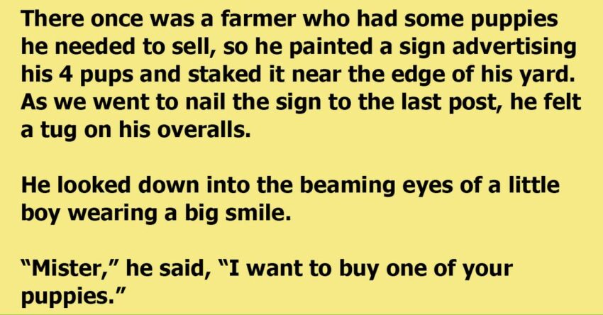 Farmer Tells The Little Boy Not To Buy The Disabled Dog