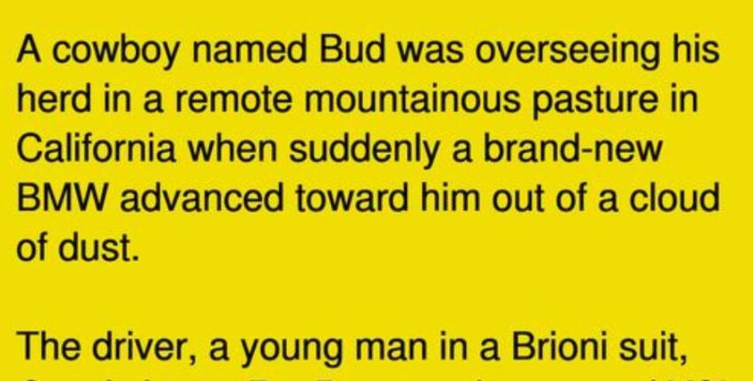 Wealthy Yuppie Tries To Outsmart Cowboy His Response Is Perfect
