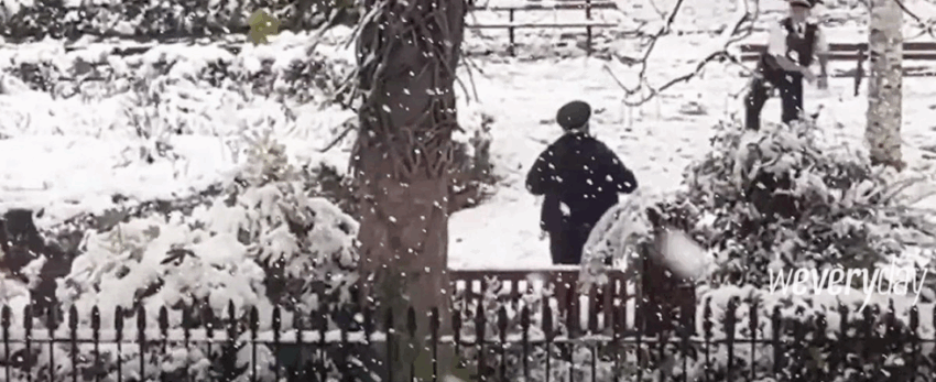 Police Officers Spark Criticism By Having Snowball Fight In Park